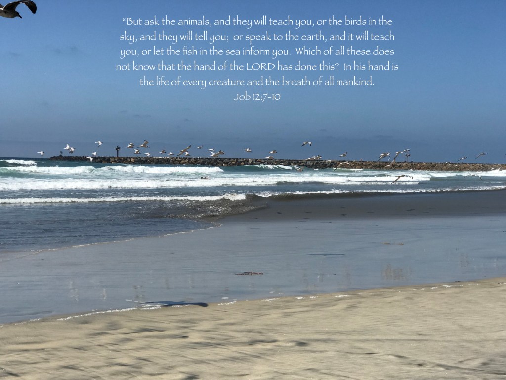 Why Overcomplicate Things