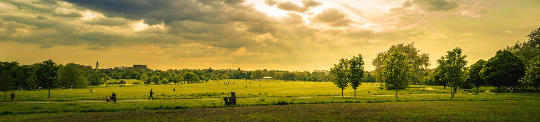 green grass field during sunset