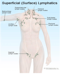 Screen Shot 2018-10-30 at 7.59.25 AM