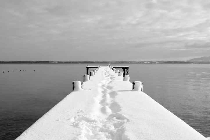black and white boardwalk boat bridge