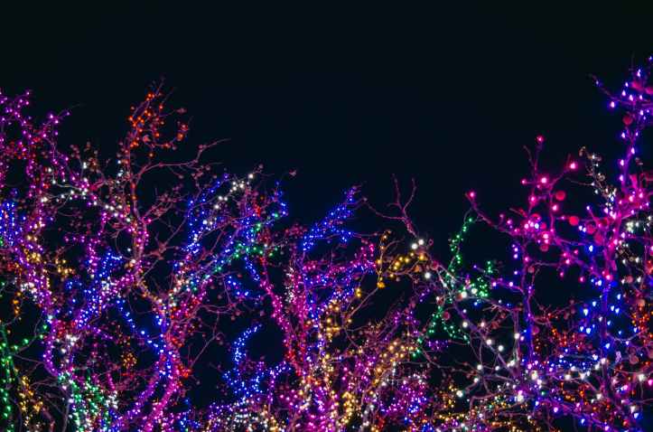 assorted color string lights