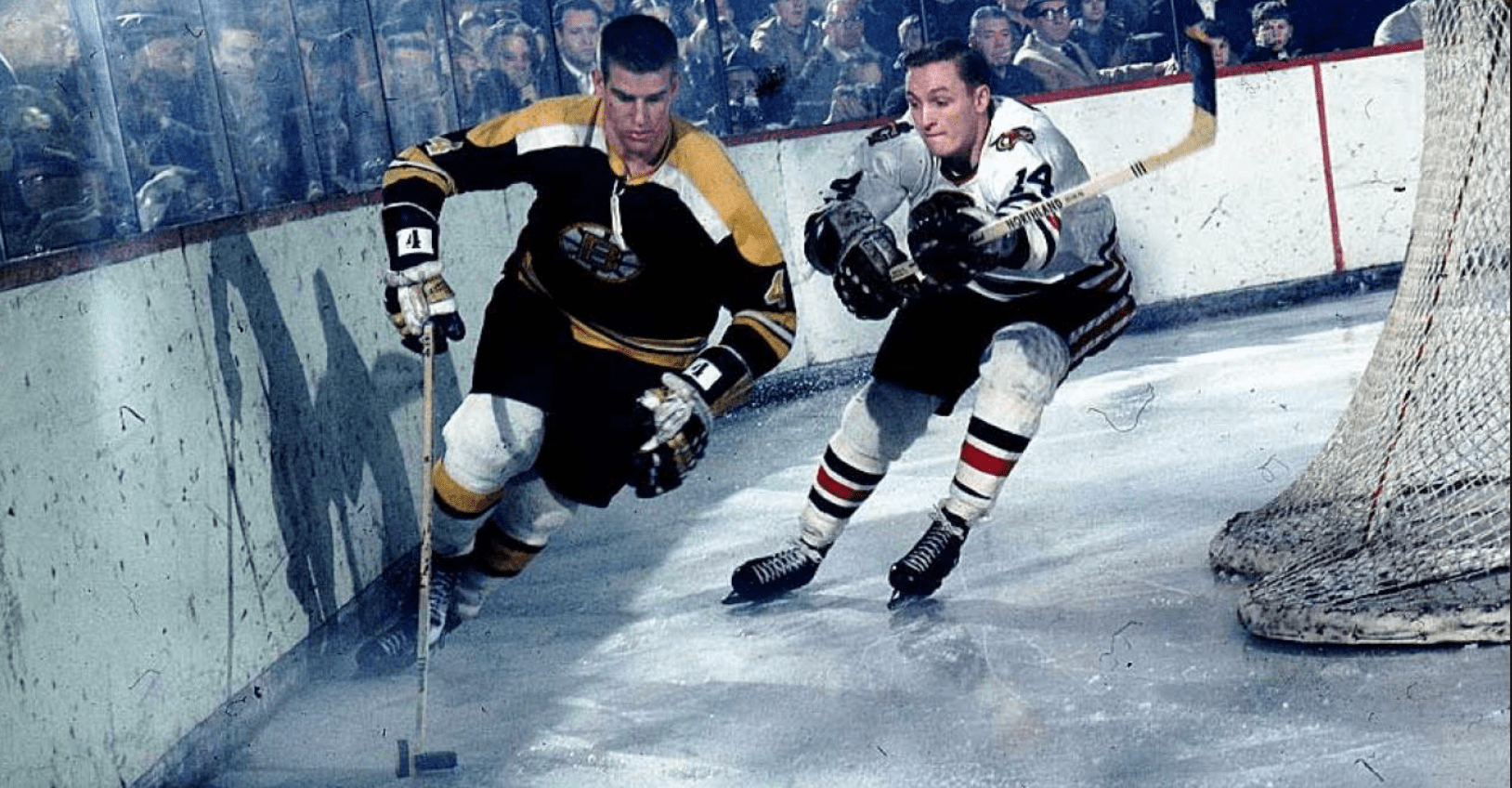 Screen Shot 2019-02-08 at 8.55.58 AM