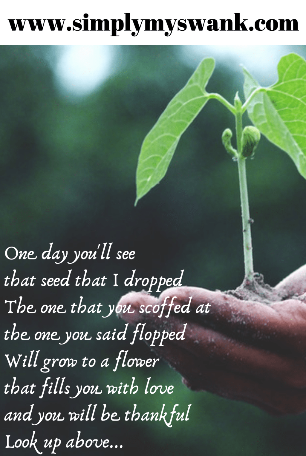 The Seed