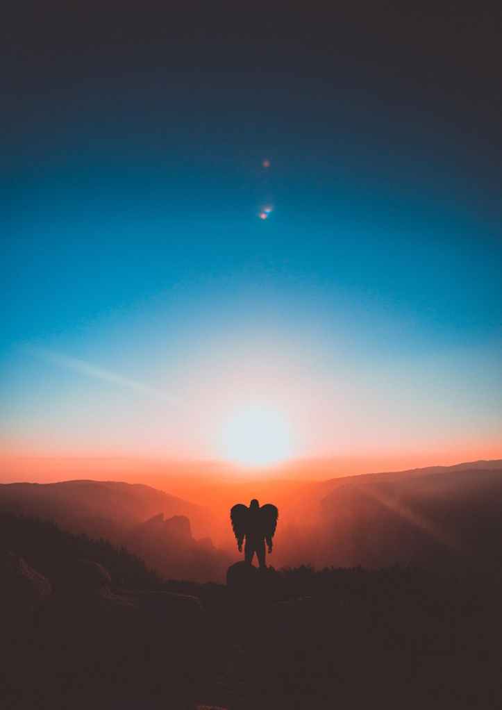 man with wings standing on brown mountain peak