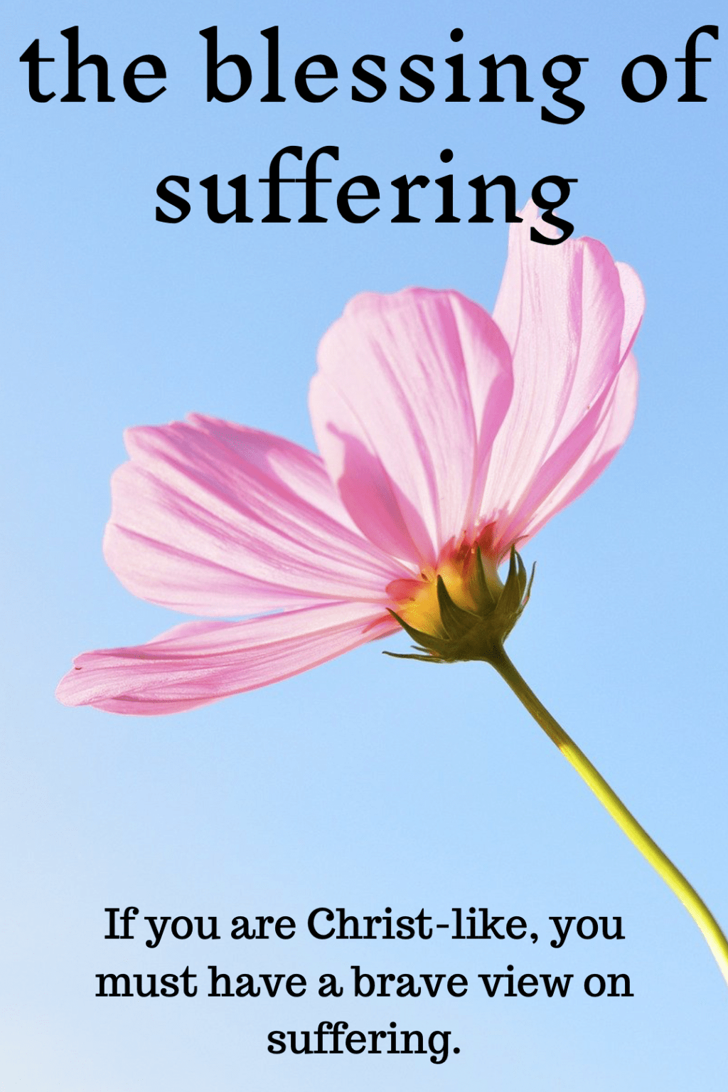 If God is Good, Why is there&nbsp;Suffering?