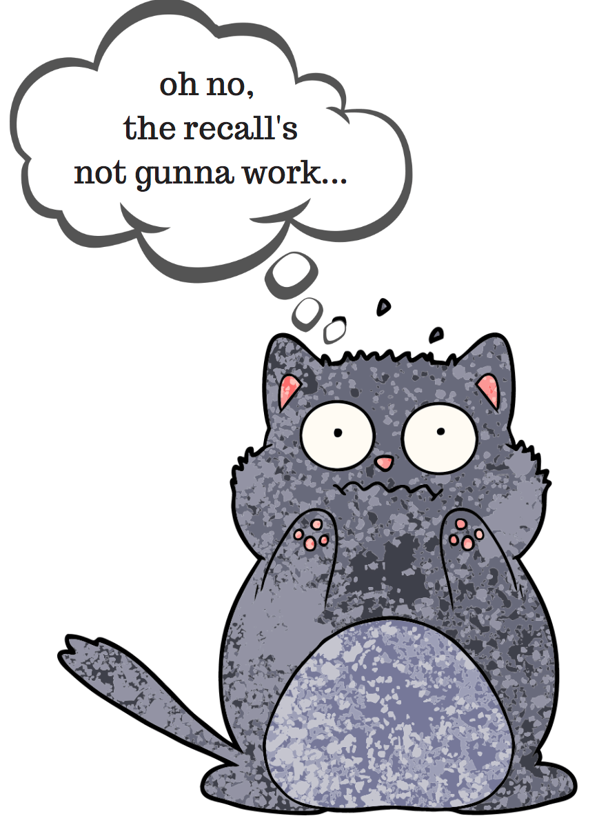 Oh No!  Not the Recall!! What&nbsp;if…