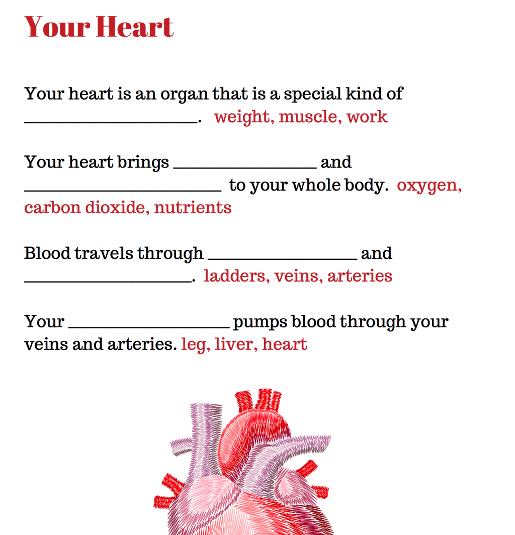 Homeschool – Second Grade – About my body – Free Worksheets,&nbsp;Science