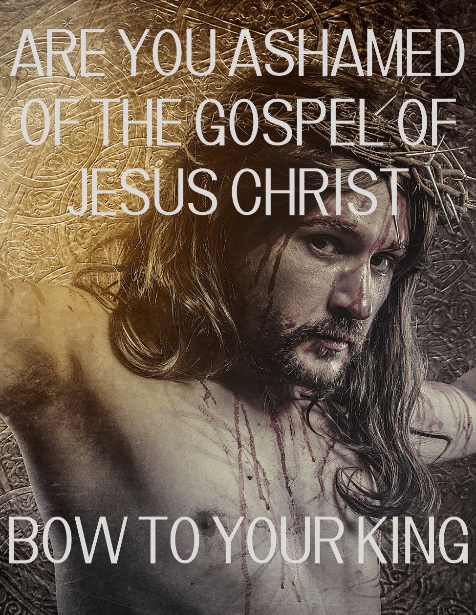 Not Ashamed of the&nbsp;Gospel