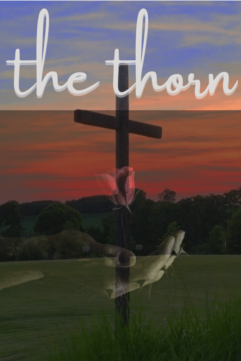 The Thorn