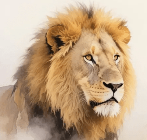 The Lion of Judah – by Katie Swank