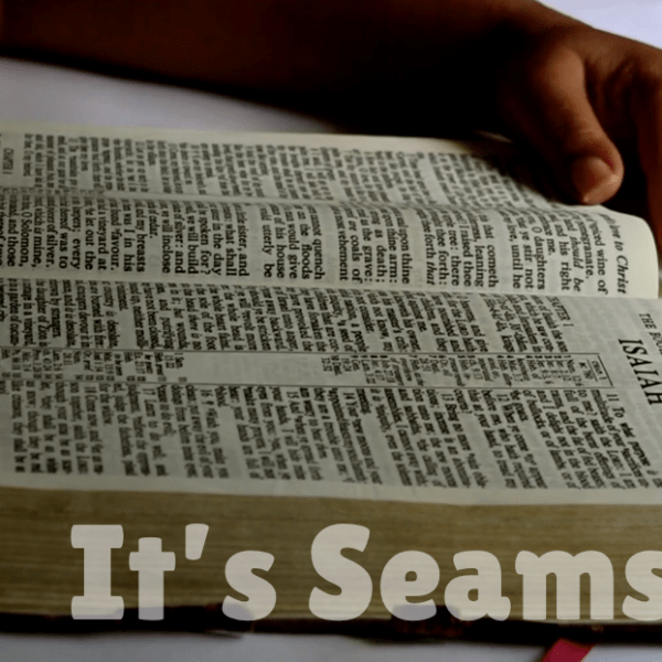 It’s Seams! – By Katie&nbsp;Swank